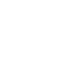 No Artificial Flavours